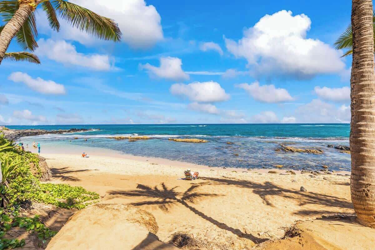 Camastros y toallas de playa 