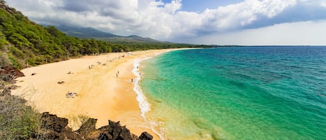 Chaises longues, serviettes de plage