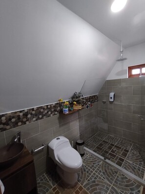 Shower, towels, soap, toilet paper