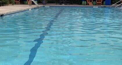 Accommodation with views in Costa del Este 6