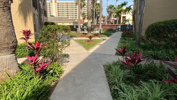 Un sendero bordeado de palmeras y plantas de hojas rojas, que conduce a un edificio con un balcón.