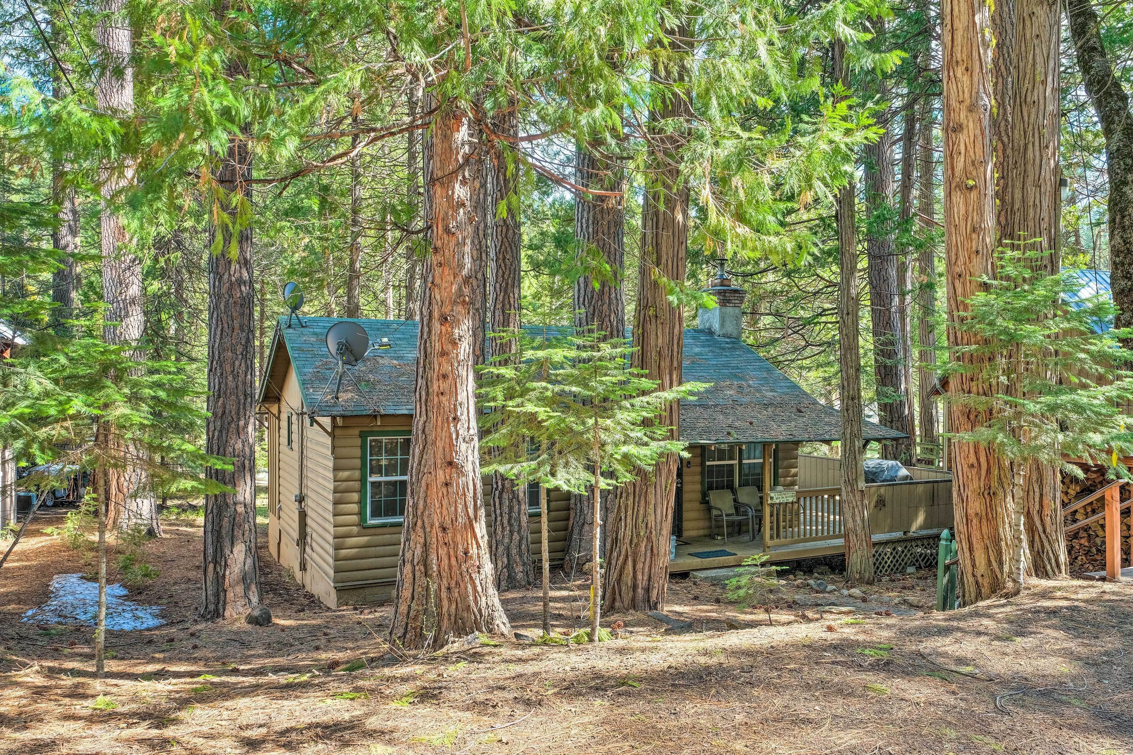 Peaceful 'Little Doll House' Cabin w/ Grill!