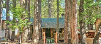 Peaceful 'Little Doll House' Cabin w/ Grill!