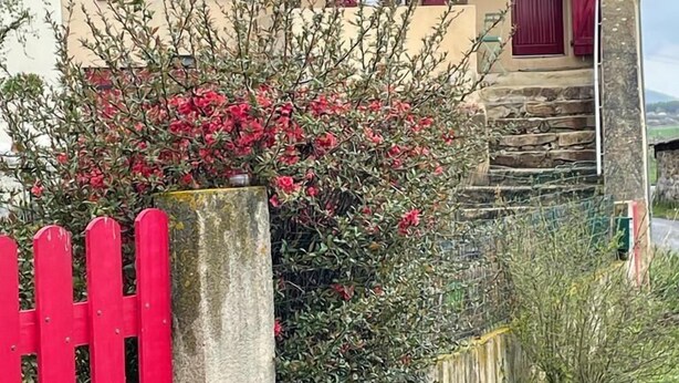 A house with red shutters, a stone staircase, and a red picket fence. - Quiet country house animals welcome minimum nights 13! (Léotoing)