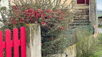 Detalle exterior