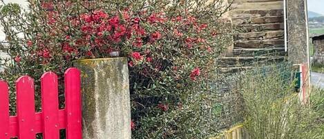 Details aan de buitenkant