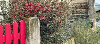 Maison de campagne au calme animaux bienvenus