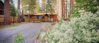 Whispering Pines Cabin - Family and pet Friendly Abode