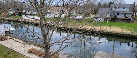A calm river with a swan, surrounded by residential houses and a dock.
