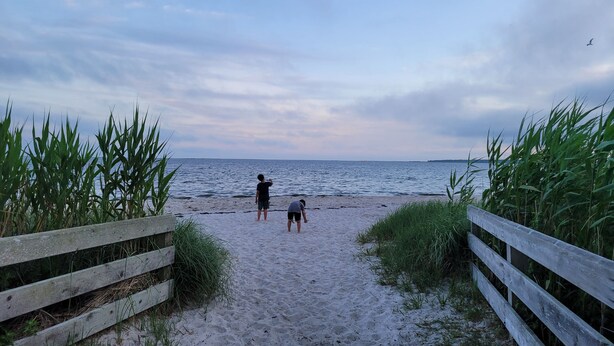 A sandy beach path with wooden railings on either side, leading to the water.