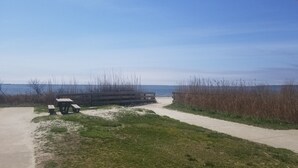 A beach view with a concrete path, picnic tables, and tall grasses.