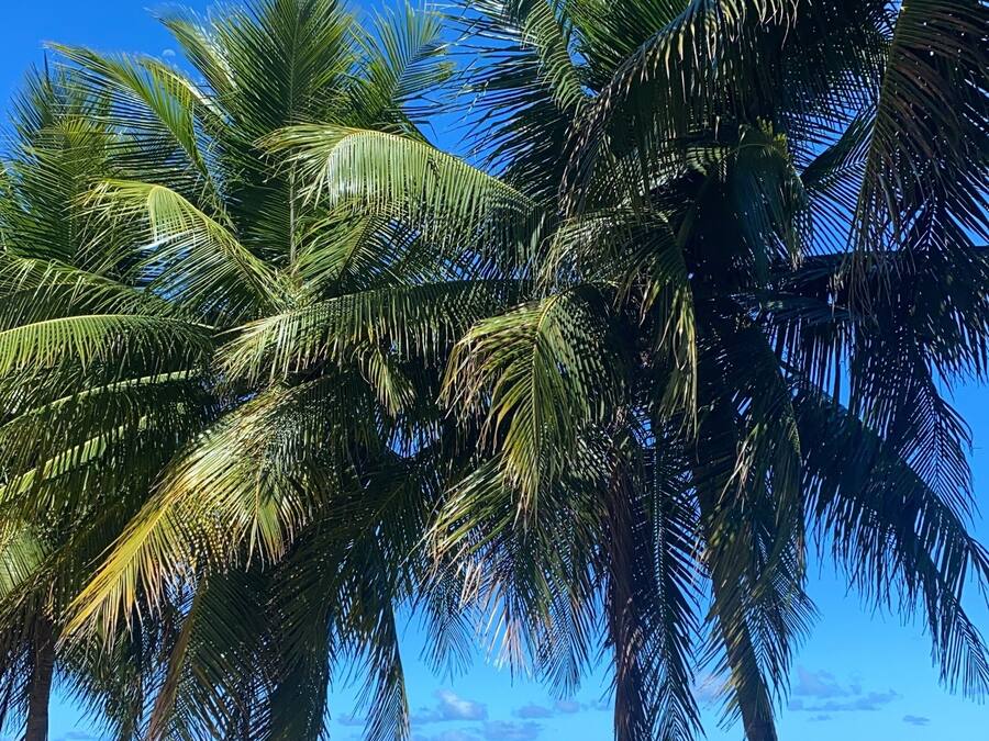 Praia