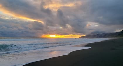 in the heart of the forest, Near Corcovado National Park.
