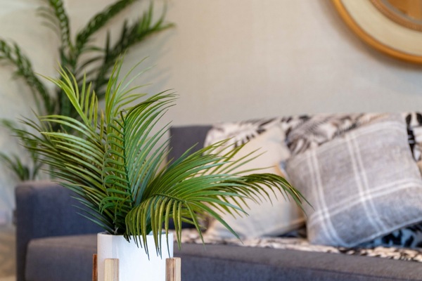 Apartamento conforto | Área de estar | Smart TV 42 polegadas com canais digitais, TV, Netflix