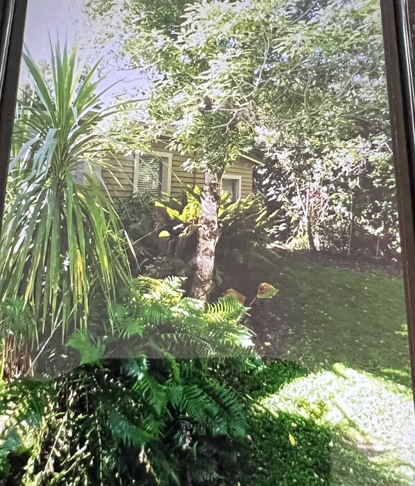 Une vue d’une maison entourée d’une végétation luxuriante, notamment d’un grand arbre et de diverses plantes.