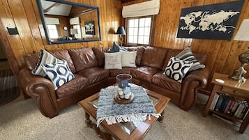 智能電視、壁爐、DVD 播放機、書籍