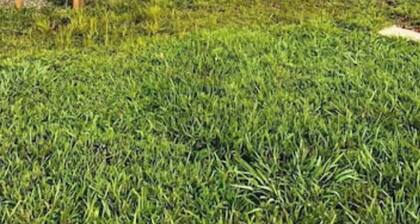 Barn Loft Apt 2 with Lake & Mountain views & custom wood accents through out.