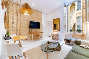 TV - Superb bright and charming Bordeaux flat with terrace (Bordeaux)