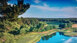 Ein Golfplatz mit Teich, umgeben von dichtem Baumbestand und blauem Himmel.