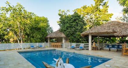 Blue Paloma Bed & Breakfast