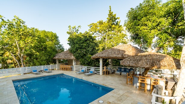 A swimming pool with lounge chairs and thatched umbrellas, surrounded by trees and a white fence. - Blue Paloma Bed & Breakfast (Lucea)