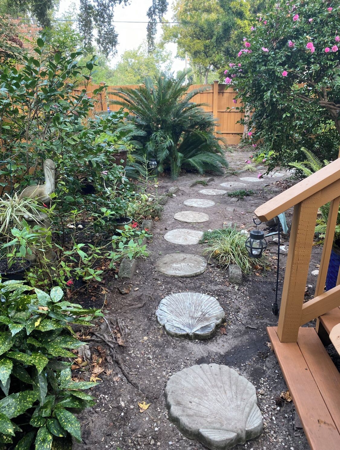 A garden pathway with stepping stones and various plants.