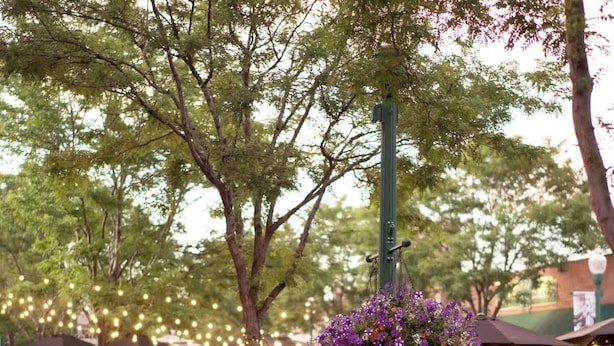 An outdoor seating area with tables and chairs, surrounded by trees and string lights. - $0Fees-6bed/6bath-Easy Red Rocks/Downtown/OldeTown (Arvada)
