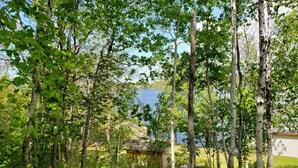 A forested area with birch trees and a small wooden structure. - Fabulous New Georgian Bay Cottage on the  water! (Byng Inlet)