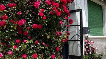 Detalle del exterior