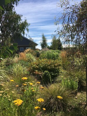 Un jardin avec différentes plantes et fleurs, une maison en arrière-plan et un ciel dégagé.