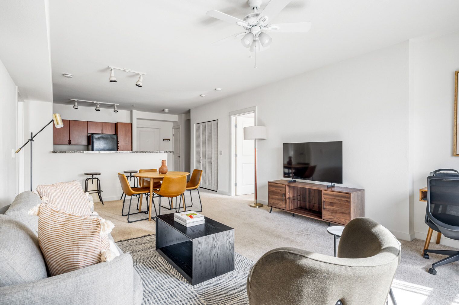 Televisor i estèreo 