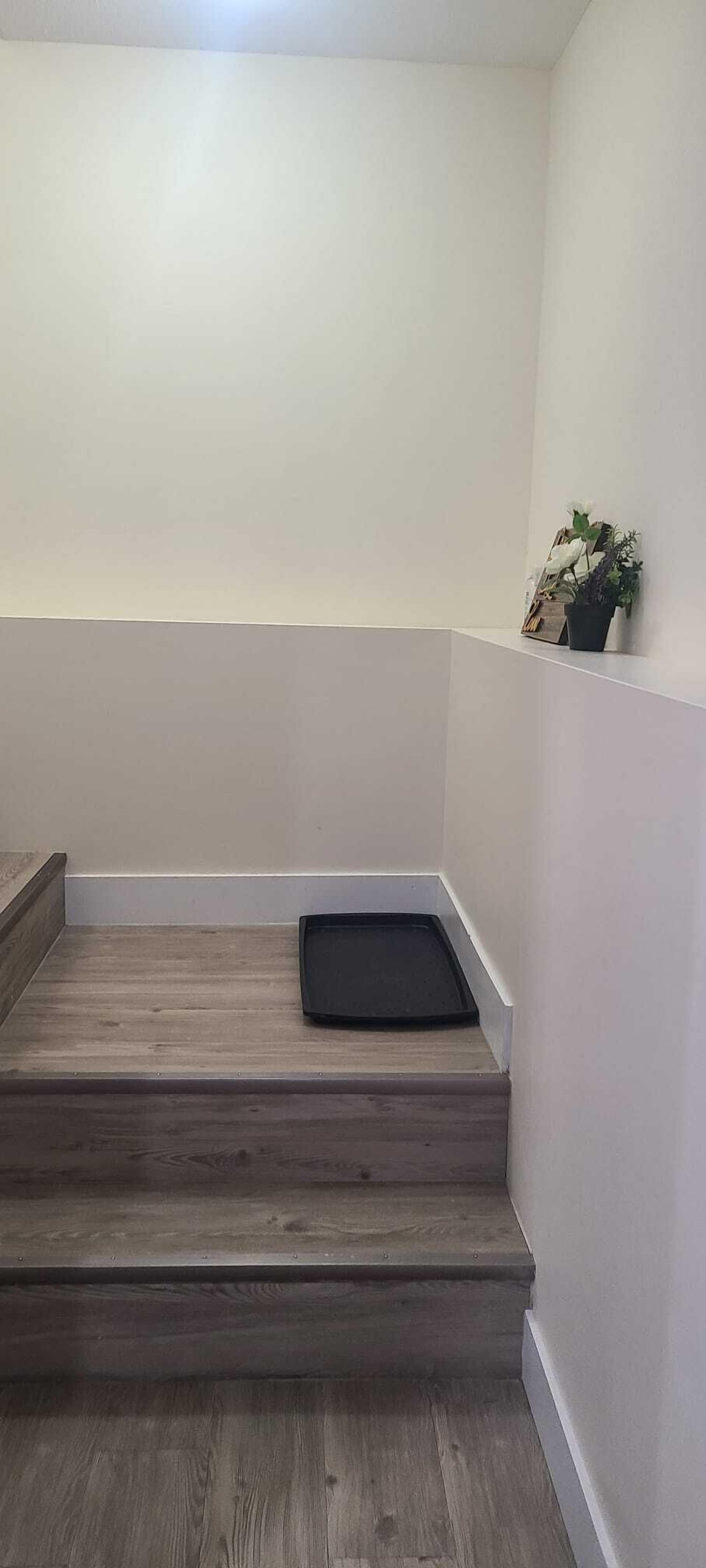 Cozy and nice Brand New 2 bedroom suite