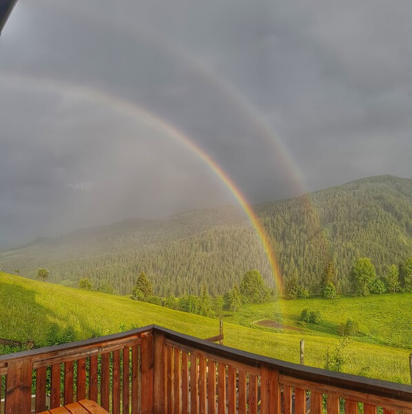 Property grounds - Vacation home in green Styria (Krakaudorf)