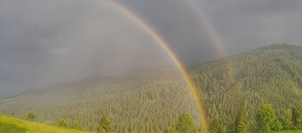 Ferienhaus in der grünen Steiermark