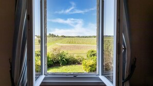 A window with a view of a vineyard. - Elegant Château Escape (Cezac)
