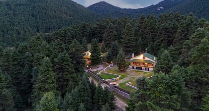 Dandy Villas Elatodasos Chalet Artemis
