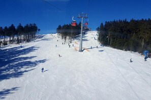 Snø- og skisport
