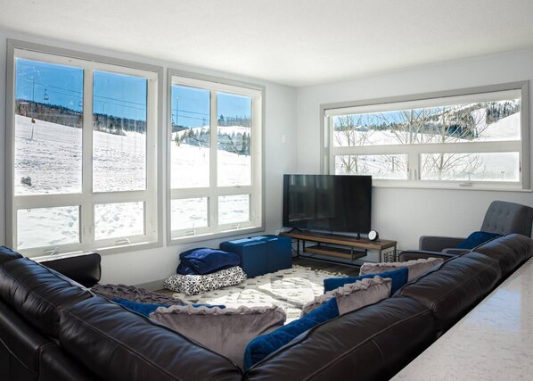 Smart TV, fireplace, DVD player, offices