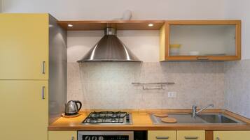 Fridge, oven, stovetop, electric kettle