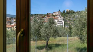 Vista a través de una ventana que muestra una zona residencial, una colina, árboles y una cerca.