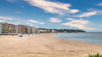 Playa en los alrededores