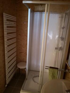 Shower, hair dryer, towels, toilet paper