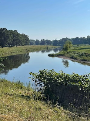 Luokittelematon kuva, 5 kautta 36, painike