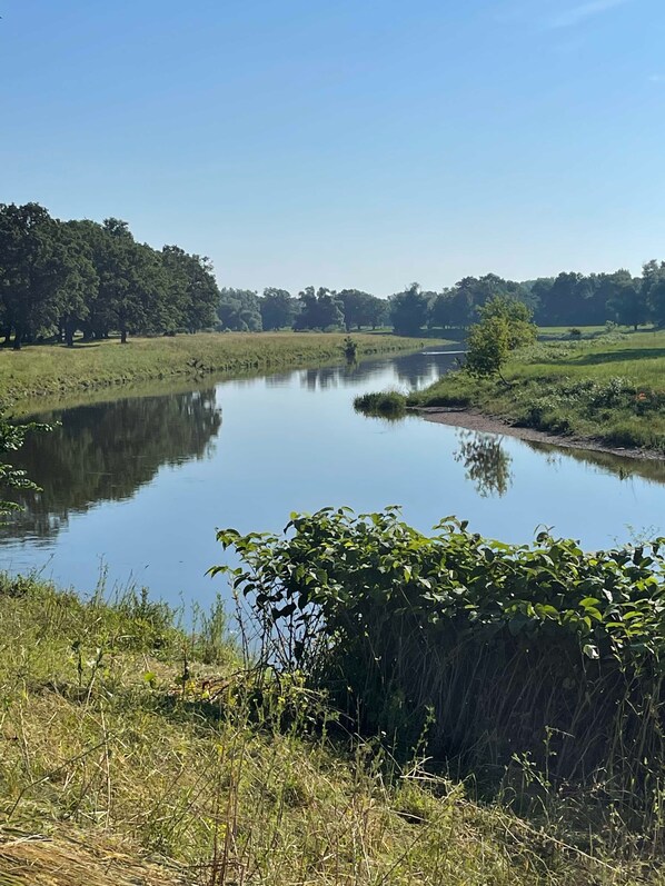 Immagine non classificata, 1 di 36, pulsante