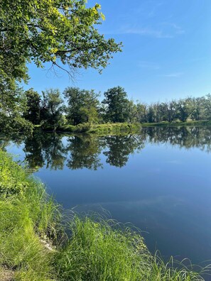 Luokittelematon kuva, 3 kautta 36, painike