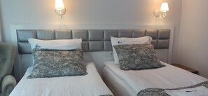 Standard Twin Room | Minibar, desk, laptop workspace, free WiFi