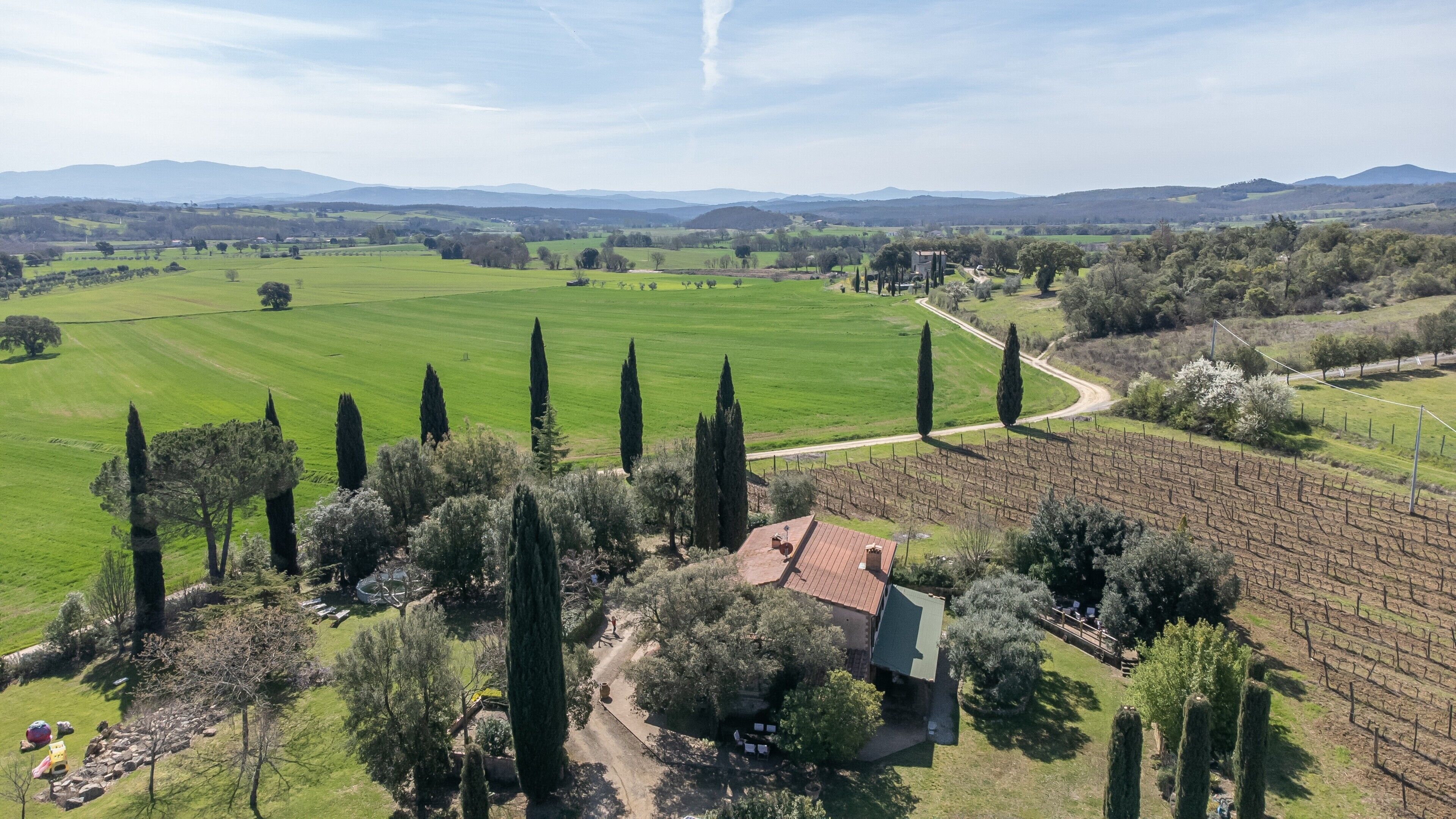 Un vignoble avec des rangées de vignes, une maison avec un toit rouge et une vue dégagée sur les collines lointaines.