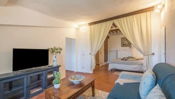 Fernseher