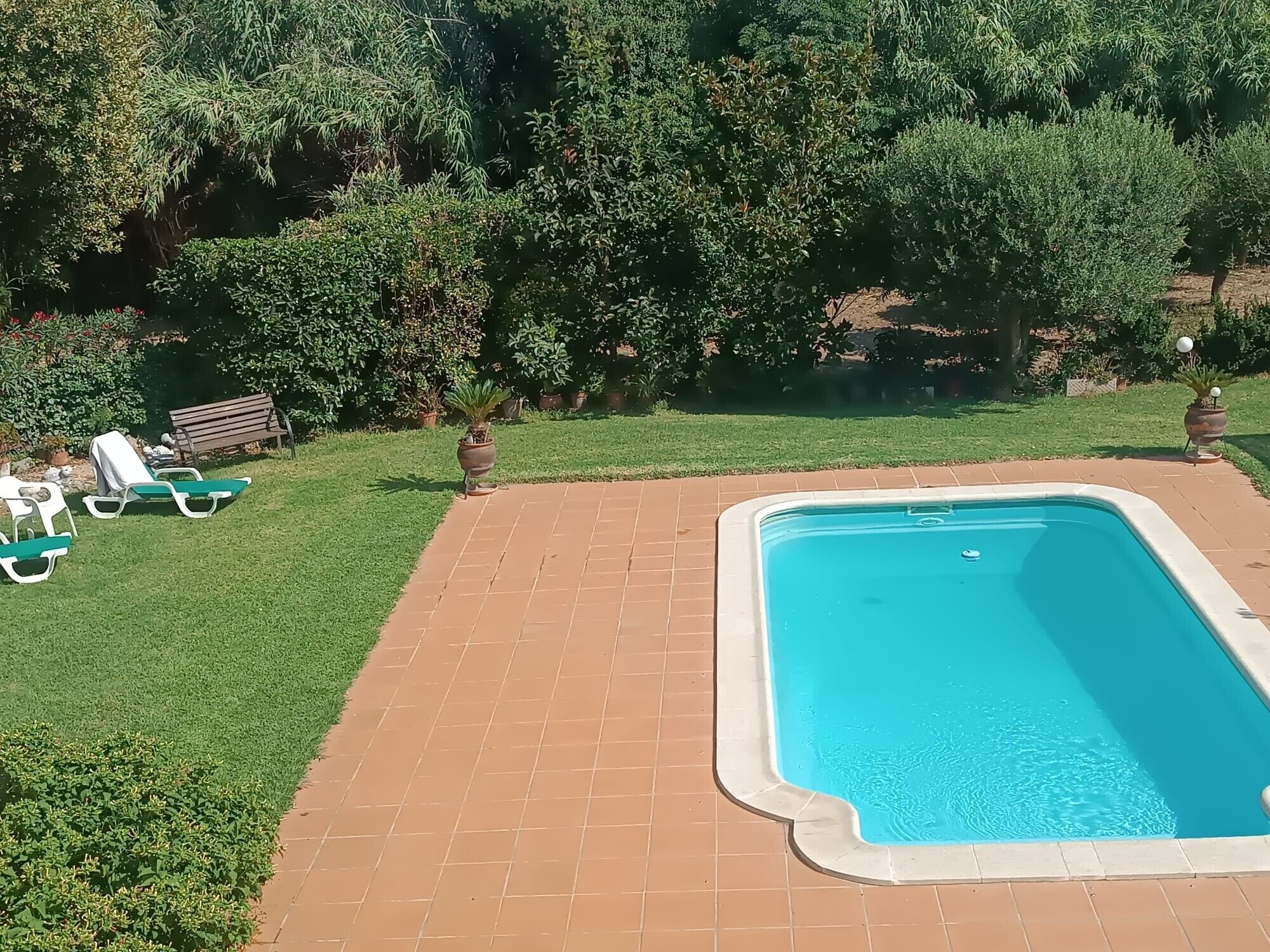 A rectangular swimming pool with a tiled deck, surrounded by a grassy area and potted plants.