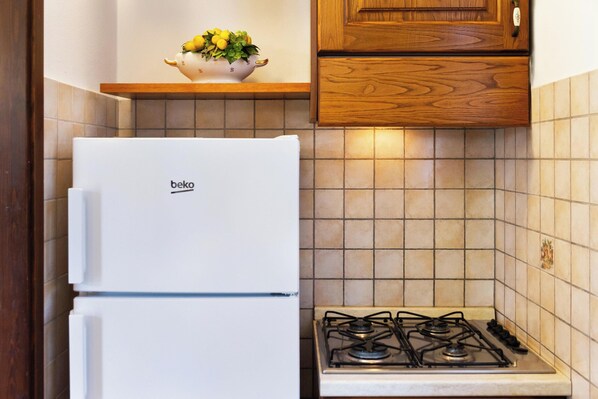 Frigorífic, placa de cuina i cafetera i tetera